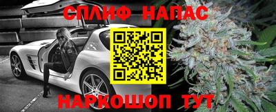 шишки Бузулук